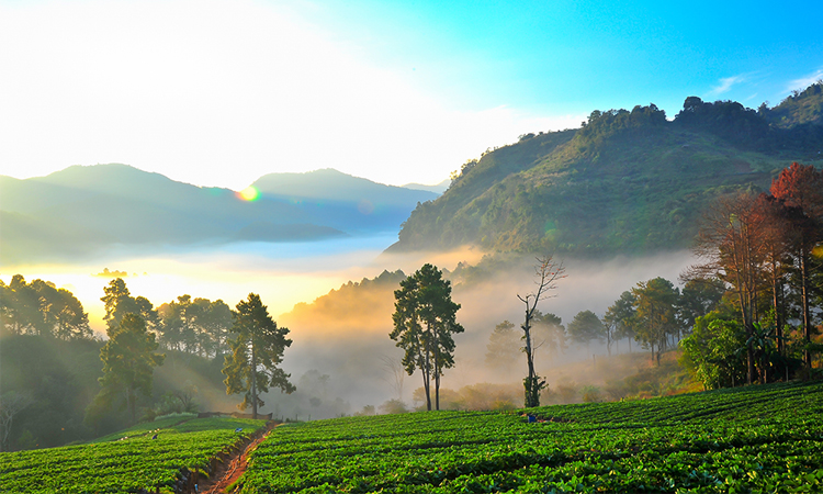 Thailand_Travel_North_Doi-Ang-Khang_Chiang-Mai_1